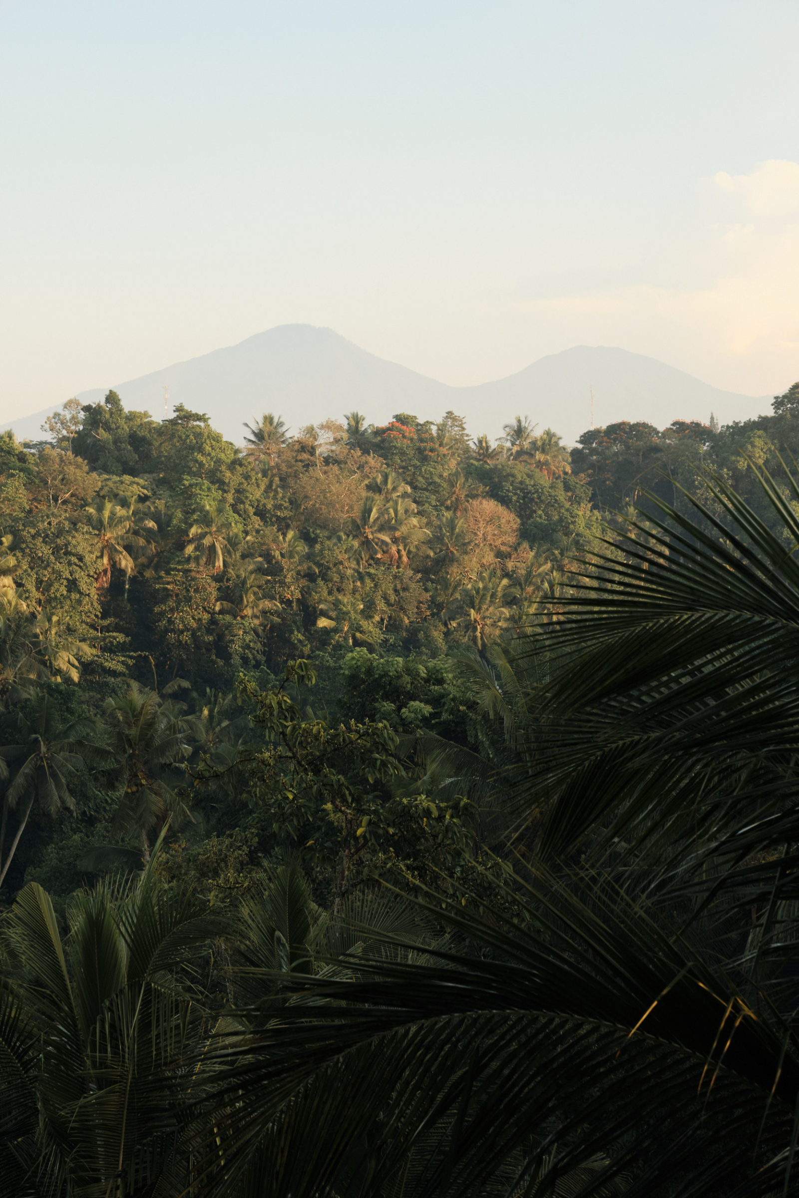 Ubud Jungle Hotel - Bisma Eight