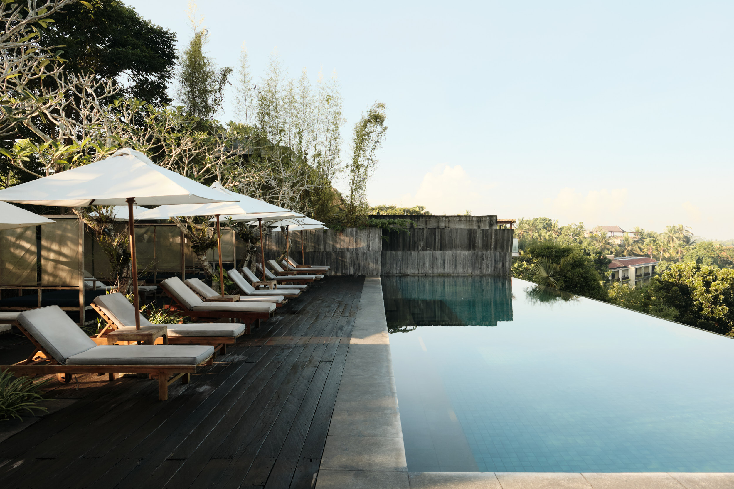 Pool at Bisma Eight Hotel Ubud  — Softer Volumes