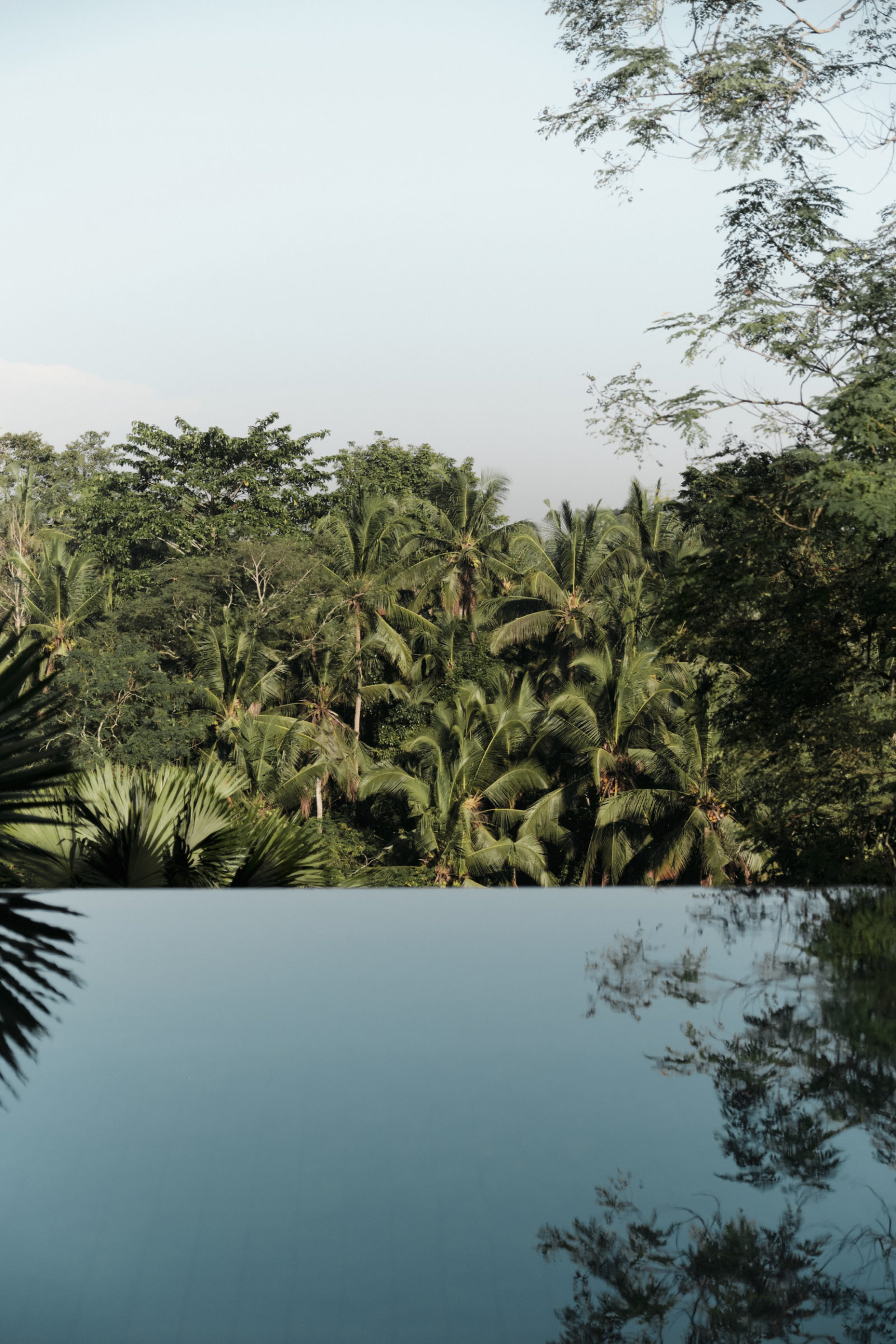 Bisma Eight Hotel Review Ubud - Softer Volumes 